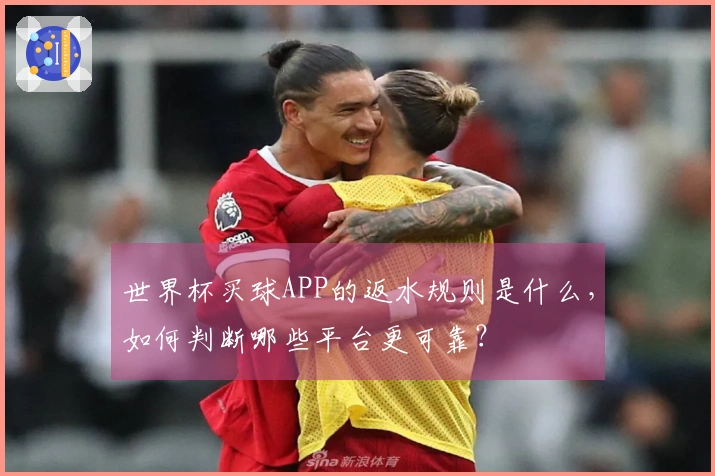 世界杯买球APP的返水规则是什么，如何判断哪些平台更可靠？