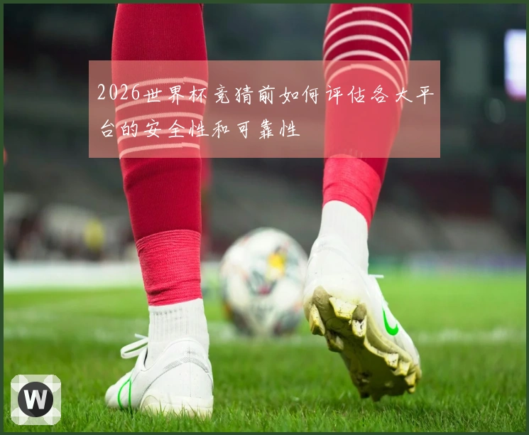 2026世界杯竞猜前如何评估各大平台的安全性和可靠性
