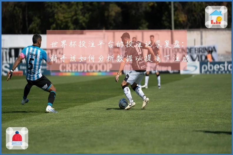 世界杯投注平台的投注记录复盘：新手该如何分析数据以提高下注成功率
