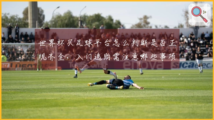 世界杯买足球平台怎么判断是否正规齐全，入门选购需注意哪些事项