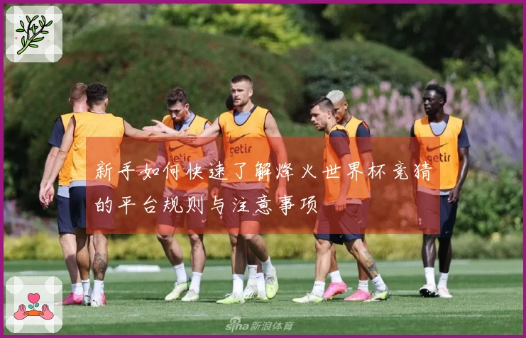 新手如何快速了解烽火世界杯竞猜的平台规则与注意事项