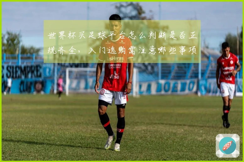 世界杯买足球平台怎么判断是否正规齐全，入门选购需注意哪些事项