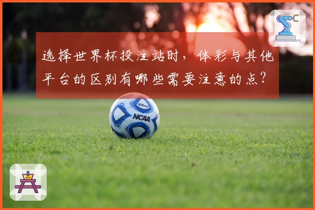 选择世界杯投注站时，体彩与其他平台的区别有哪些需要注意的点？
