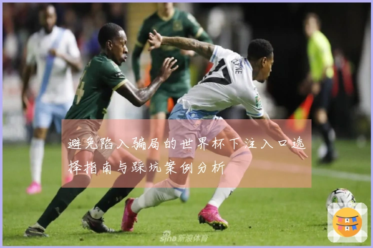 避免陷入骗局的世界杯下注入口选择指南与踩坑案例分析