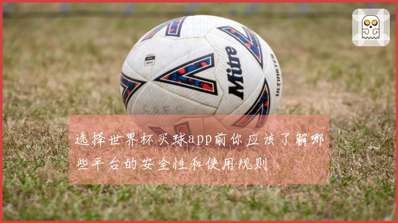 选择世界杯买球app前你应该了解哪些平台的安全性和使用规则