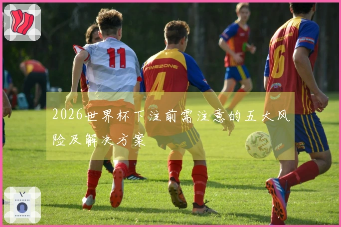 2026世界杯下注前需注意的五大风险及解决方案