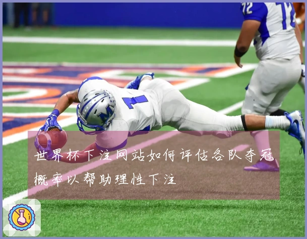 世界杯下注网站如何评估各队夺冠概率以帮助理性下注