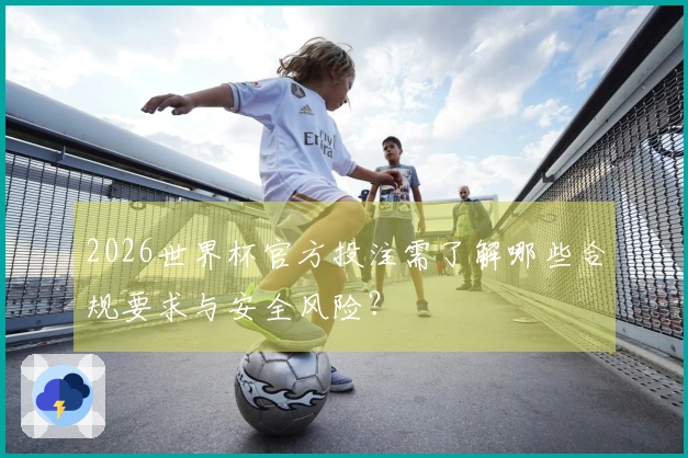 2026世界杯官方投注需了解哪些合规要求与安全风险？