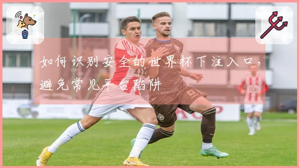 如何识别安全的世界杯下注入口，避免常见平台陷阱
