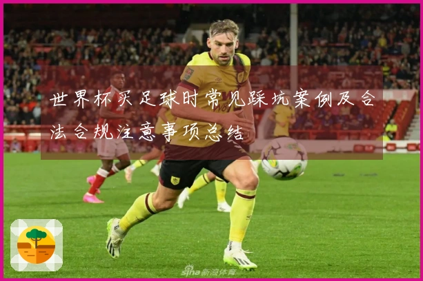 世界杯买足球时常见踩坑案例及合法合规注意事项总结