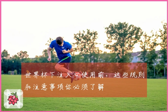 世界杯下注入口使用前，这些规则和注意事项你必须了解