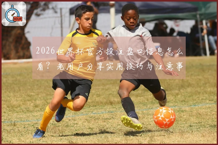2026世界杯官方投注盘口信息怎么看？老用户分享实用技巧与注意事项