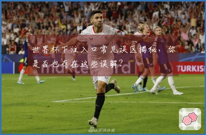 世界杯下注入口常见误区揭秘，你是否也存在这些误解？