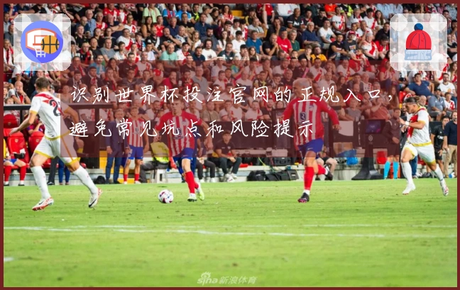识别世界杯投注官网的正规入口，避免常见坑点和风险提示