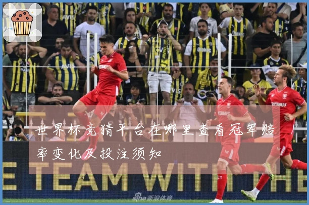 世界杯竞猜平台在哪里查看冠军赔率变化及投注须知