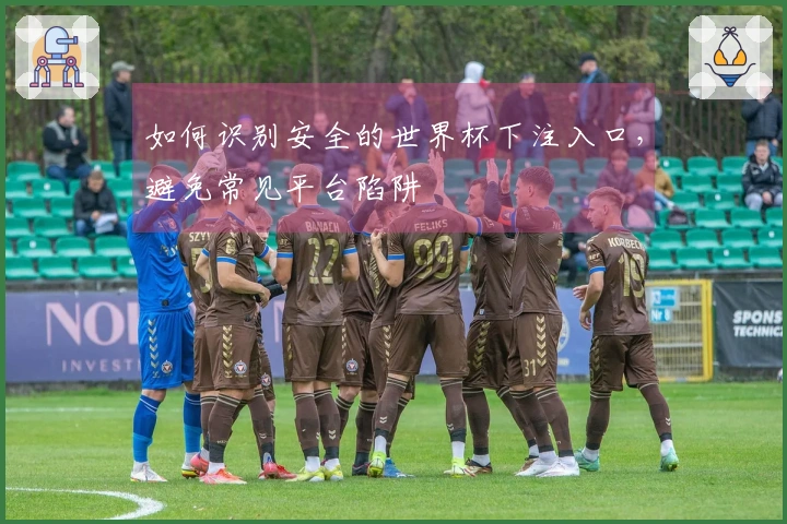 如何识别安全的世界杯下注入口，避免常见平台陷阱