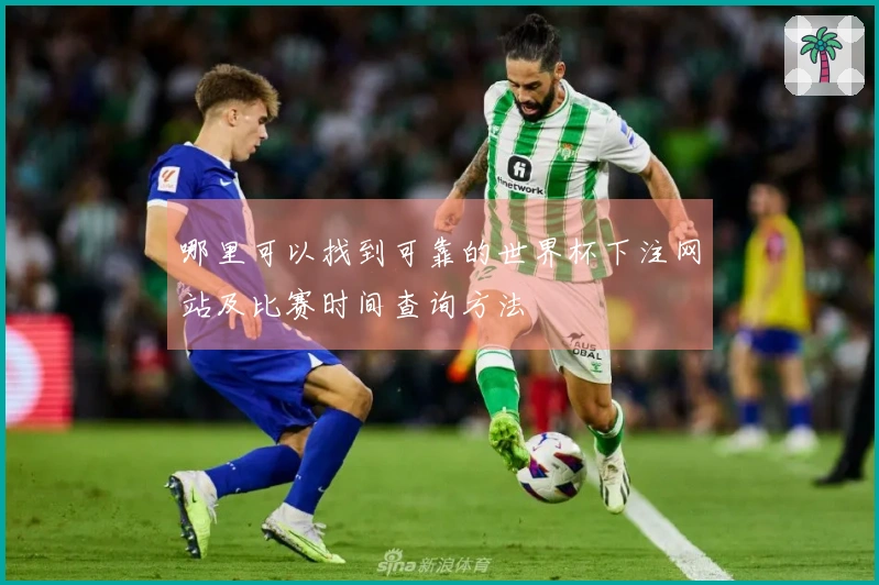哪里可以找到可靠的世界杯下注网站及比赛时间查询方法