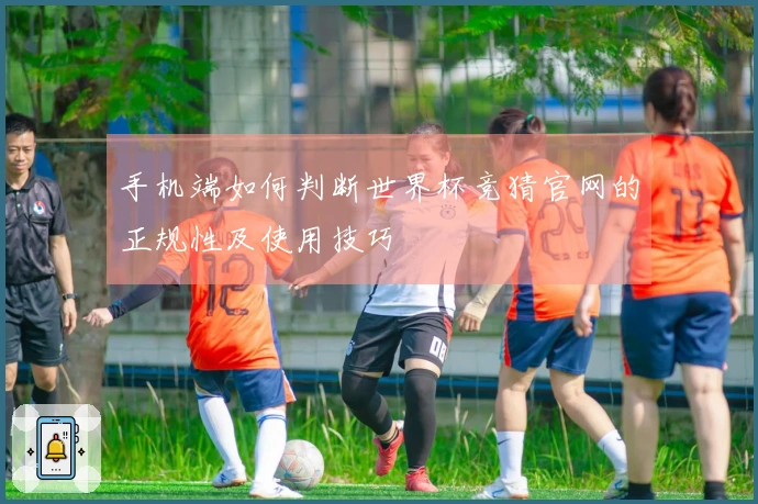 手机端如何判断世界杯竞猜官网的正规性及使用技巧