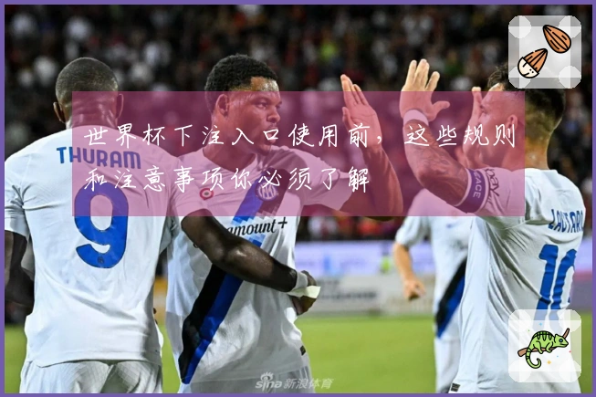 世界杯下注入口使用前，这些规则和注意事项你必须了解
