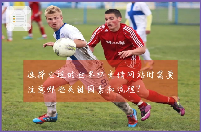 选择合适的世界杯竞猜网站时需要注意哪些关键因素和流程？