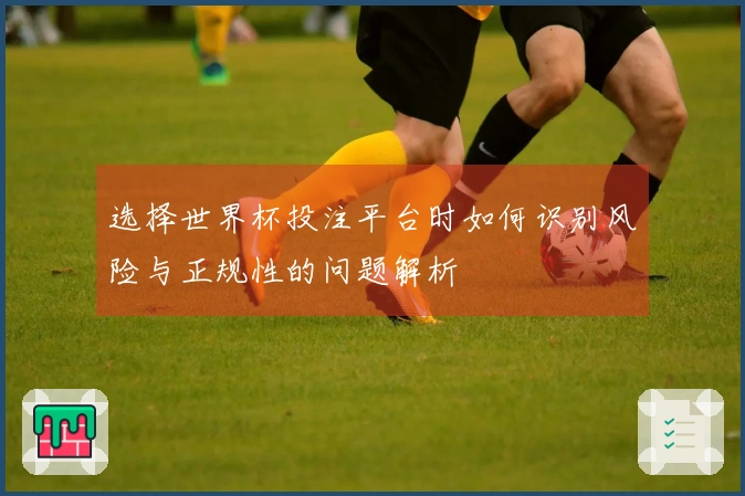 选择世界杯投注平台时如何识别风险与正规性的问题解析