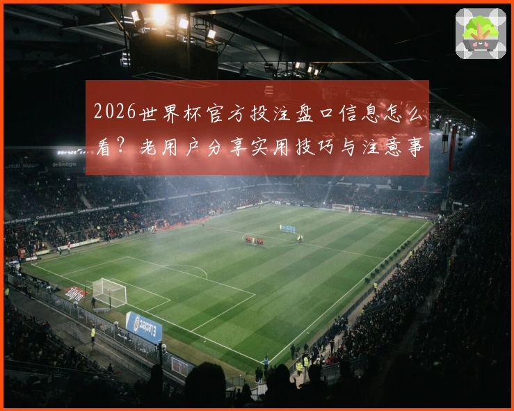 2026世界杯官方投注盘口信息怎么看？老用户分享实用技巧与注意事项
